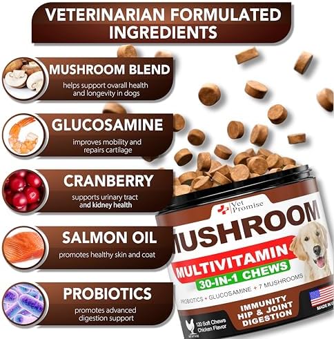 (2 Pack) Turkey Tail Mushroom for Dogs - 340 Chews - Mushroom for Dogs | Lion's Mane, Reishi, Shiitake, Immunity Support Multivitamin Vitamins for Joint Health, Energy, Gut, Skin & Coat, Made in USA