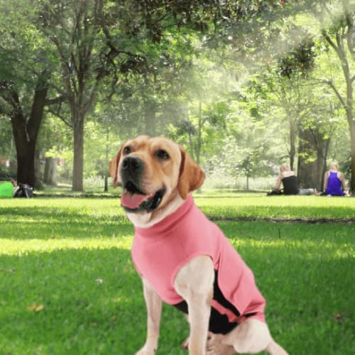 Dog Anxiety Calming Thunder Vest, Large
