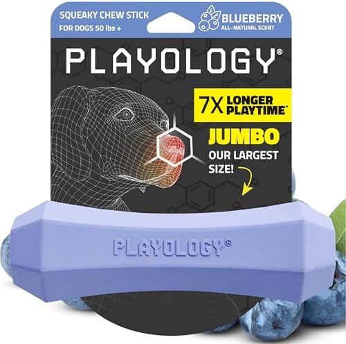 Playology Squeaky Chew Stick - Scented Dog Toy - Jumbo, Blueberry Scent | Rubber Construction, All Natural Scent, Durable Design