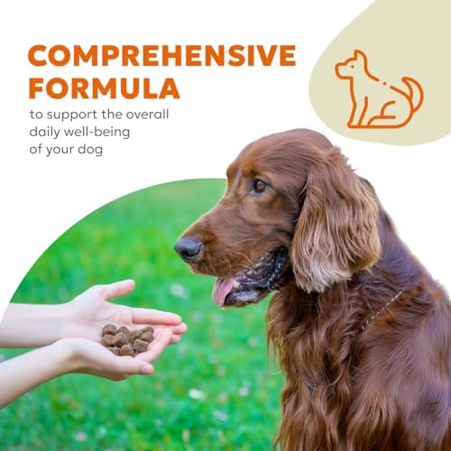 Daily 10-in-1 Dog Wellness Chews – Joint, Gut, Immune, Skin & Coat, Energy & Vitality Support – Glucosamine, Probiotics, Salmon Oil & Turmeric – 60 Soft Chews