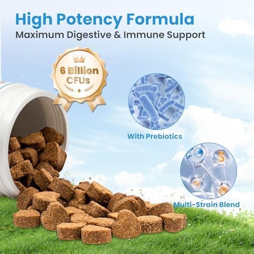 Probiotics for Dogs, Digestive Immune System Support Supplements Gut Health, Flora, Pet Dog Probiotic Chews Supplement with Prebiotics for Allergy Upset Stomach, Puppy Probiotics