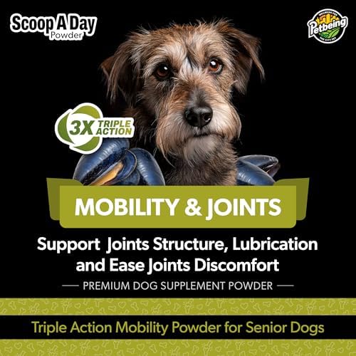 Scoop A Day for Senior Dogs | Daily Supplement Powder with Blue Mussel | Joint, Mobility & Vitality Support for Aging Dogs | Easy Meal Topper