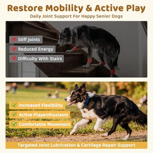Glucosamine for Dogs, Hip & Joint Support Soft Chews with Chondroitin MSM, Green Lipped Mussel, Omega-3 & Turmeric, Joint Pain Relief,Mobility Support - Senior & Active Dogs, Chicken Flavor,100 Count