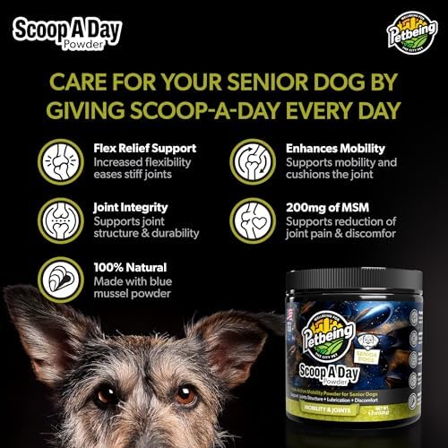 Scoop A Day for Senior Dogs | Daily Supplement Powder with Blue Mussel | Joint, Mobility & Vitality Support for Aging Dogs | Easy Meal Topper