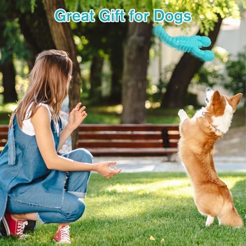 2 Pack Dog Toys for Aggressive Chewers, Indestructible Tough Dog Chew Toys for Medium Large Breeds, Bacon Flavor to Keep Them Busy