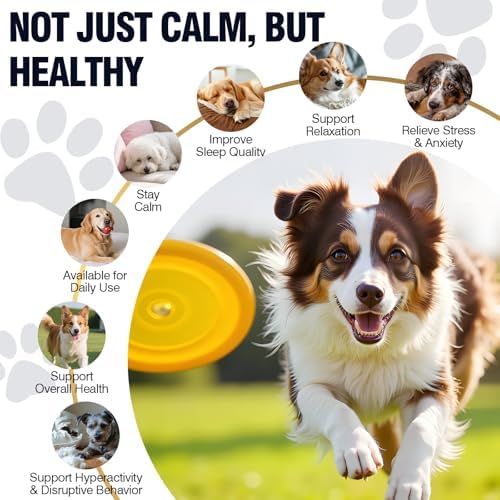 Calming Chews for Dogs 200ct, Melatonin, Chicken, 200-Pack, 200ct