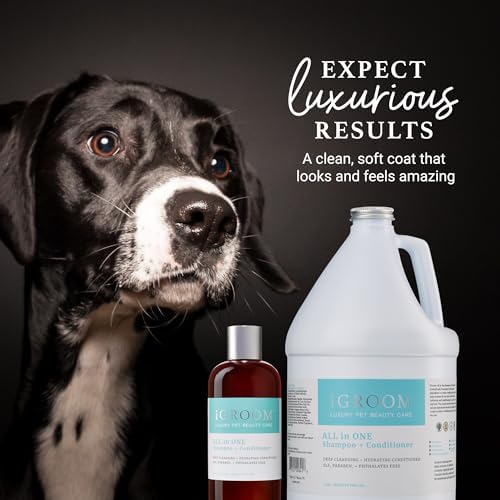 iGroom All-in-One Dog Shampoo + Conditioner, Luxury Pet Beauty Care, Deep Clean All Coat Types, Hydrate and Condition Coat, Made in the USA, 16 oz