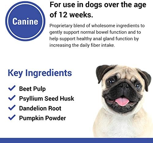 Vet Classics No Scoot for Dogs, Healthy Anal Support - 120 Soft Chews