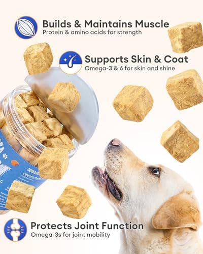 Freeze Dried Salmon Dog Treats,Single Ingredient,for All Dogs-4oz