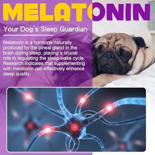 Dog Melatonin, Small