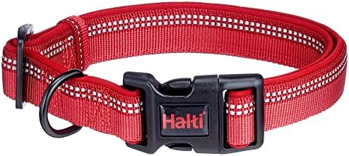 Halti Dog Collar | Size L, Red