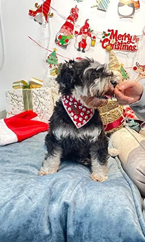 Lionet Paws Christmas Dog Bandana (Pack of 1)