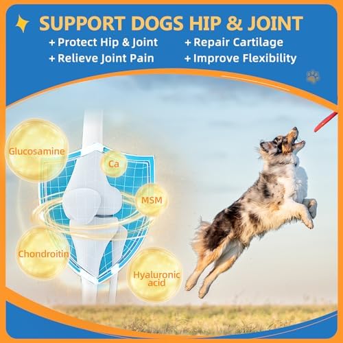 ZEBORA Dog Vitamins Powder - Multivitamin for Dogs & Cats - 90 Scoops | with Glucosamine, Probiotics & Omega 3, Dog Vitamins and Supplements for Immune Support, Skin and Coat