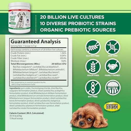 Vital Planet - Flora Dog Probiotic Powder Supplement with 20 Billion Cultures and 10 Strains, High Potency Immune and Digestive Support Probiotics for Dogs, 7.84 oz., 222 Grams, 60 Servings