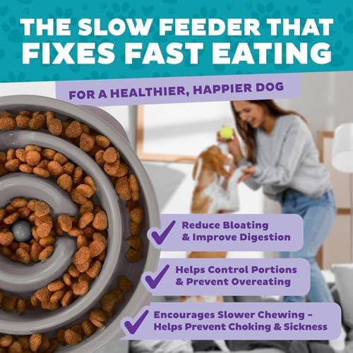 Outward Hound Fun Feeder Slo Bowl – Medium 2‑Cup Capacity,Slow Feeding,Small to Medium Dogs & Cats,Non-Slip,Gray,Drop Pattern,(Pack of 12)