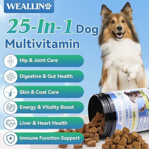 Dog Vitamins and Supplements with Glucosamine Probiotics 200ct Chicken | Dog Multivitamin is Human-Grade Ingredients with Omega-3 Chondroitin, Daily Vitamins Chewable for Hips & Joints, Gut, Immune