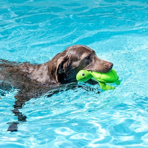 Fringe Studio Snappy Floating Dog Toy, Pet Shop Collection