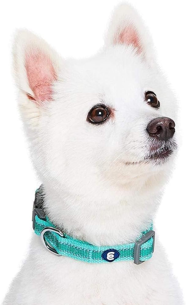Blueberry Pet Essentials Dog Collar Pack of 2 - Reflective Dog Collars for Medium Dogs, Dog Collar for Large Dogs, Adjustable Minty Green Pet Collar with Eco-Friendly Buckles, Medium Size