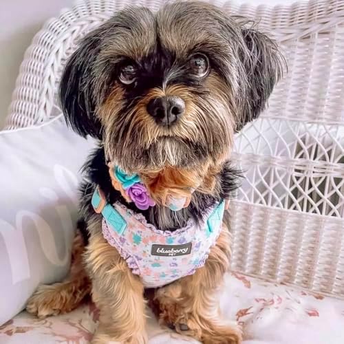 Blueberry Pet Made Well Lovely Floral Print Adjustable Dog Collar in Lavender with Detachable Flower Accessory, X-Small, Neck 7.5"-10"