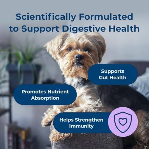 PetAg Dyne Digestion & Immune Support Soft Chews for Dogs | 60 Count