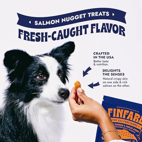Finfare Freeze Dried Salmon Treats for Dogs, 9oz Nuggets