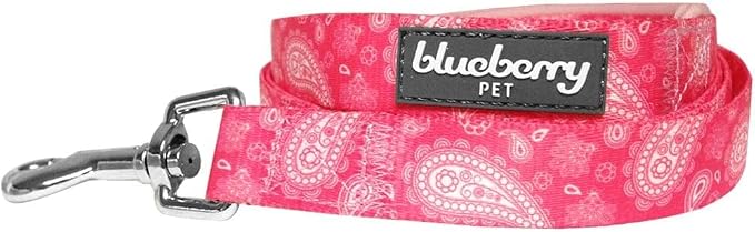 Blueberry Pet 5 Colors Paisley Flower Print Dog Leash with Soft & Comfortable Handle, 5 ft x 3/4", Pink, Medium, Leashes for Dogs