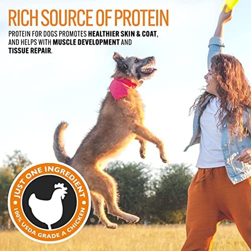 Chicken Jerky Dog Treats – Single-Ingredient 100% Real USA Chicken, 32 oz