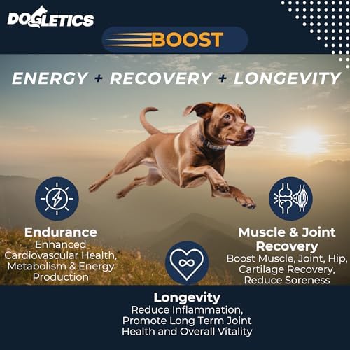 Boost Active Dog Support: Improve Energy, Endurance, Recovery & Longevity- 90ct USA Made with Real Bacon
