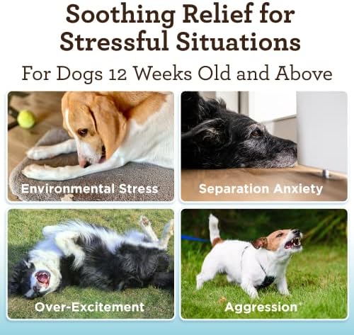 VetPro Advanced Calming Aid, Hemp