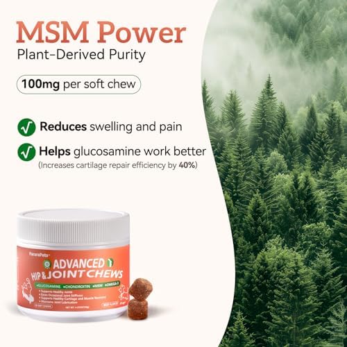 Advanced Dog Hip and Joint Supplement with Glucosamine, Chondroitin, MSM, and Vitamin C, Beef Flavor, 60 Soft Chews