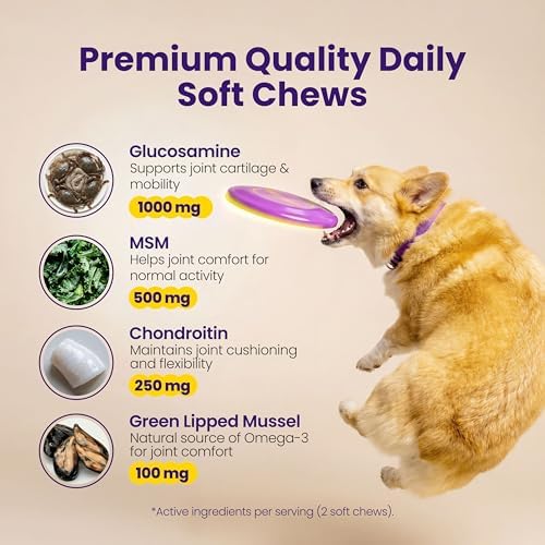Advanced Hip & Joint Supplement for Dogs - 90 Soft Chews with Glucosamine, MSM, Chondroitin & Multivitamins - Supports Mobility & Flexibility - Made with Pasture-Raised Chicken