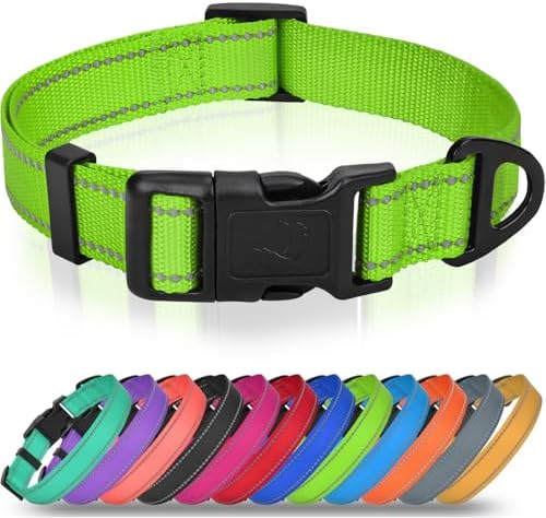 Joytale Feather-Light Dog Collar for Small Dogs & Puppies, 5/8", Green