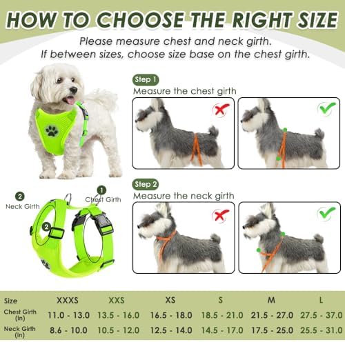 SlowTon Dog Car Seat Belt Harness - Lime, XXS