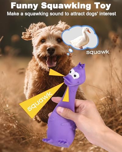 SCHITEC Squeaky Dog Toys, [2 Pack] Squawking Latex Toy with Interactive Squeaker, Squeak Rubber Duck Chicken for Medium Small Dogs