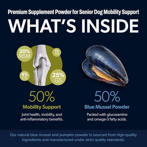 Scoop A Day for Senior Dogs | Daily Supplement Powder with Blue Mussel | Joint, Mobility & Vitality Support for Aging Dogs | Easy Meal Topper