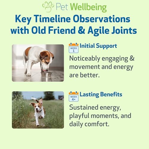 Pet Wellbeing Agile Joints & Old Friend for Senior Dogs - NASC Certified & Vet-Formulated Joint Mobility & Complete Senior Wellness Bundle, Herbal Liquid Formula, Natural Vegetarian Bacon Flavor, 2 (2