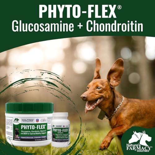 Dogzymes Phyto Flex - Glucosamine, Chondroitin, MSM and Hyaluronic Acid… (1 Pound)