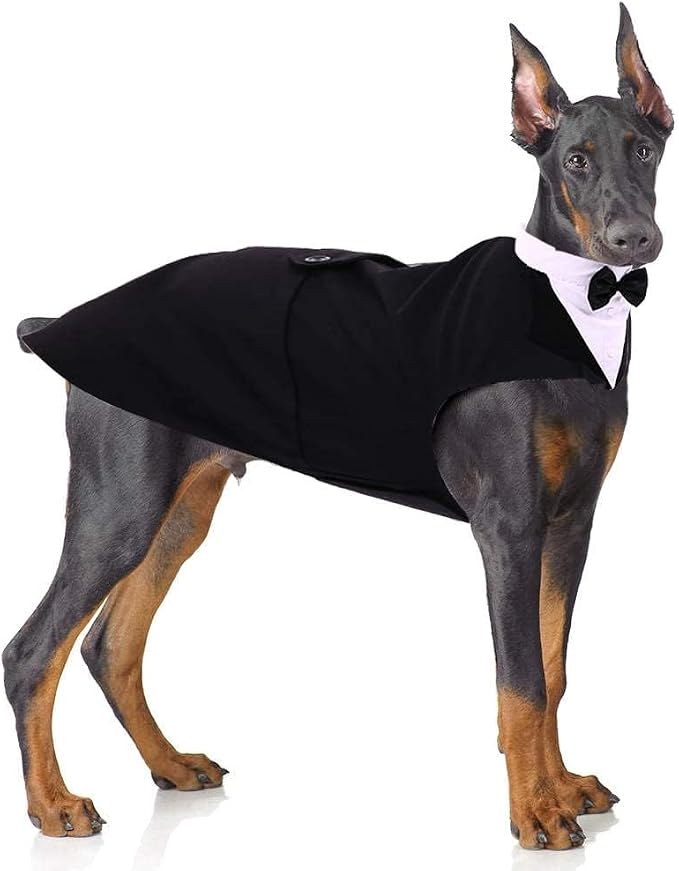 PUMYPOREITY Dog Tuxedo and Bandana Set, XX-Large (Pack of 1), Black