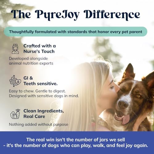Advanced Hip and Joint Supplement for Dogs, 90 Soft Chews