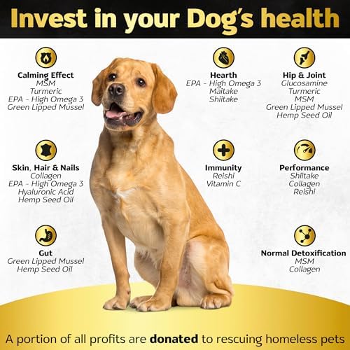 Hip and Joint Chews for Dogs + Skin and Coat Supplement - Dog Joint Pain Relief Treats - Glucosamine, Chondroitin, MSM, Hemp Oil, Turmeric, Omega 3 for Dogs, Mobility Dog Health Supplies