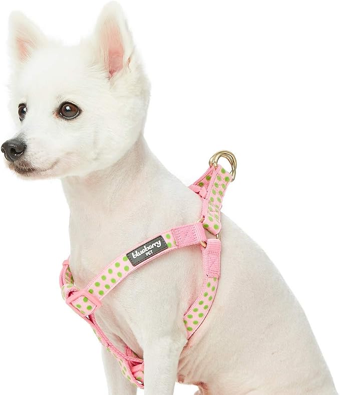 Blueberry Pet 4 Patterns Step-in Velvety Polka Dot Flocking Dog Harness in Baby Pink, Chest Girth 20" - 26", Medium, Adjustable Harnesses for Dogs