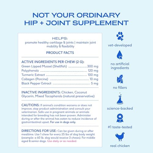 Native Pet Inflammatory Care - Pain Relief for Dogs - Green-Lipped Mussel, Turmeric & Collagen for Dogs - Hip and Joint Supplement Supports Healthy Inflammatory Response & Joint Comfort - 30 Chews