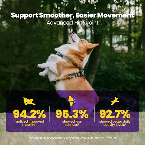 Advanced Hip & Joint Supplement for Dogs - 90 Soft Chews with Glucosamine, MSM, Chondroitin & Multivitamins - Supports Mobility & Flexibility - Made with Pasture-Raised Chicken