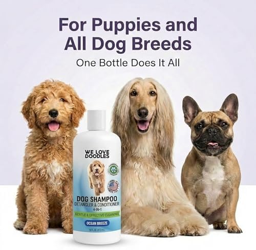 Dog Shampoo, Conditioner & Detangler, Gentle Tearless, Ocean Breeze, 16OZ | For Sensitive Itchy Skin, Hypoallergenic, Best For Smelly Dogs, Goldendoodle, Poodle & Doodle, Puppy Pet Wash, USA Made, 4in1