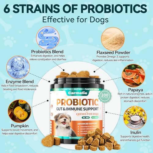 Probiotic & Flea Chews for Dogs - 200 Each - Natural Flea & Tick Prevention with Skin Support + Digestive, Gas & Immune Relief with Pumpkin & Enzymes - Chicken Flavor