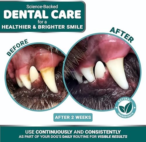 Dog Dental Powder, Breath Freshener with Multivitamin, Dog Teeth Cleaning | Bad Breath & Tartar and Plaque Off Remover for Dogs Probiotics lab co, Pet Oral Care - Vitamins and Supplements