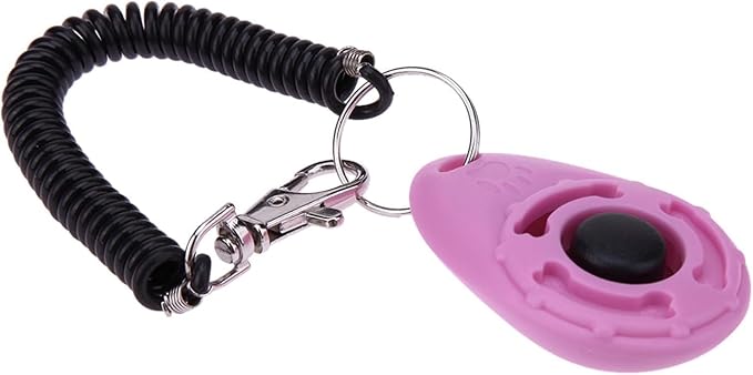 Pink Clicker, 1 Pc