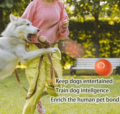Smart Interactive Dog Toys Ball,Replaceable, Rechargeable,Motion Activated Automatic Rolling Ball Toys for Small/Medium Dog and Puppy Cat,Fun Gift for Boredom