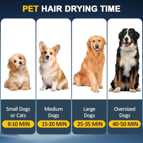 NESTRAOD High Velocity Dog Dryer for Grooming,2800W Dog Hair Dryer with Adjustable Speed and Heater,Professional Pet Blow Grooming Dryer with 4 Nozzles,Black