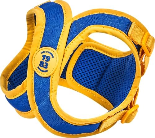 PETHROOM Comfort-X Dog Harness 2.0, Step-in Soft Lightweight Vest (Large)